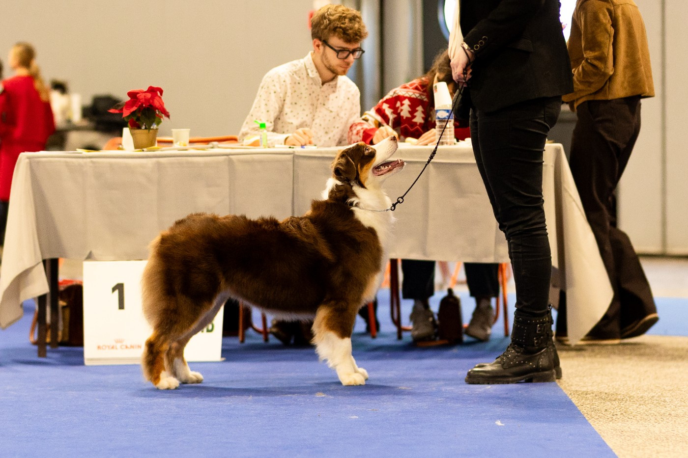 Miss scrumptious royal rain